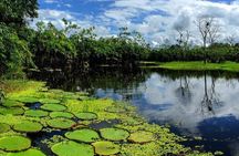 Iquitos Amazon River Adventure Full Day