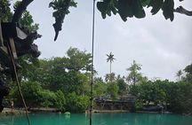 Half Day Tour at Eton Beach and Blue Lagoon with Lunch at Turtles