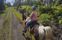 Small Group Rainforest Trail Ride