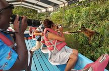 Day Trip to Nicaragua Volcano Colonial City and More