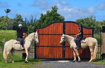Small Group Rainforest Trail Ride