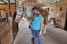 Small Group Rainforest Trail Ride
