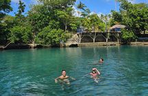Half Day Tour at Eton Beach and Blue Lagoon with Lunch at Turtles