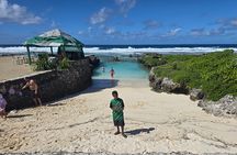 Half Day Tour at Eton Beach and Blue Lagoon with Lunch at Turtles
