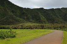 Hike to a Tropical Waterfall - pick up included