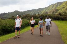 Hike to a Tropical Waterfall - pick up included