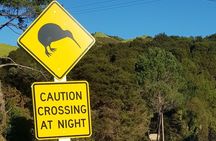 Waiheke Island Private Tours