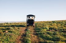 Rumi on Louth Luxury Island Tour & 6 Course Lunch