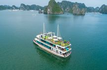 Sweetness Cruise Ha Long Bay: Caves, Kayaking, Swimming & Lunch