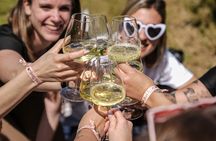 Picnic and Lugana Tour at Perla del Garda winery