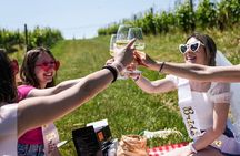 Picnic and Lugana Tour at Perla del Garda winery