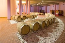 Slow Experience in Perla del Garda