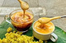 (HOT) Hanoi Guided Street Food and Train Street Tour with Local