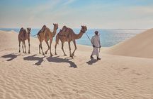 Doha Escape: Gentle Desert Safari with Camel Ride & Sandboarding