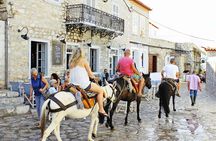 Hydra Island Full Day Trip from Athens with Swimming