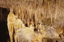 Drach Caves and Cuevas dels Hams Day Trip
