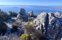 Table Mountain Cable Car Half Day Tour