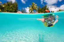 Private Snorkel and Dive Charter to Culebra (Up to 5 Guests)