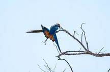 Manu Reserved Area Tour - Puerto Maldonado (6 DAYS)