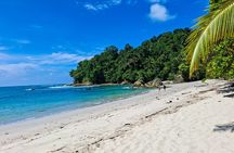 Manuel Antonio National Park Group Tour Wildlife and Beach Day