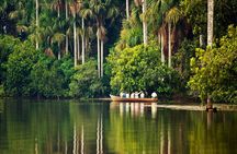 Lake Sandoval Wildlife Adventure in Tambopata National Reserve