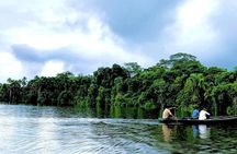 Lake Sandoval Wildlife Adventure in Tambopata National Reserve