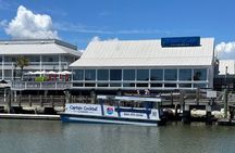 Afternoon Charleston Harbor Boat Cruise: Family Friendly Scenic