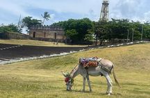 Puerto Plata City Tour Ron Puros Culture and History