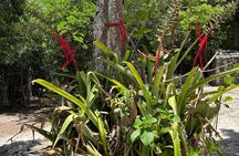 Chichén Itzá & Cobá Ruins Adventure (Private, Full Day)