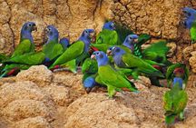Manu National Park: 3Day Amazon Nature & Wildlife Tour from Cusco
