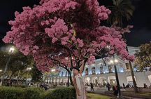 Quito Walking Tour Explore the Historic Center of Ecuador
