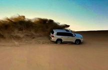 Qatar: Premium Desert Safari With Camel Ride And Dune Bashing 