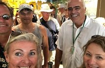 Tour from Cruise Ship Christ the Redeemer and Sugarloaf Mountain