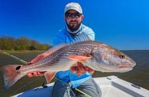 Half-Day Backwater Fishing in Naples, Florida