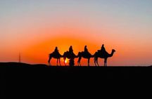 Dinner in the Agafay Desert with Quad bike and Camel ride & show