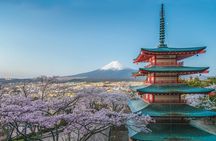 Custom Guided Day Tour to Mt. Fuji with English-Speaking Driver