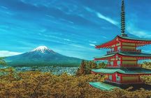 Custom Guided Day Tour to Mt. Fuji with English-Speaking Driver