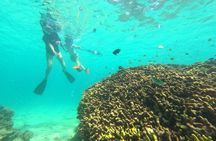 Snorkeling in Okinawa: Private booking