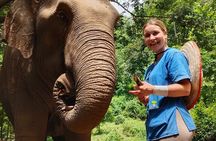Ethical Elephant Visit and White Water Rafting in Chiang Mai
