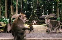 One Day Tour Ubud With Private Guide