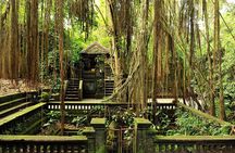 One Day Tour Ubud With Private Guide