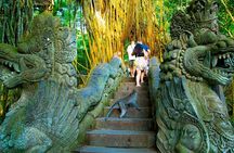 One Day Tour Ubud With Private Guide