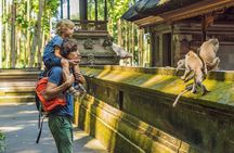 One Day Tour Ubud With Private Guide
