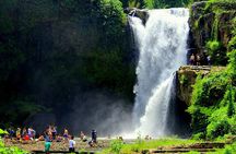 Ubud Highlights Tour: Nature, Culture & Sacred Temple Experience