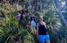 Sydney: Ku ring gai National Park Hike with Beach and Picnic