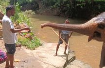 6 nights 7 days Sri Lanka | 4 star hotels with BB | Private tour