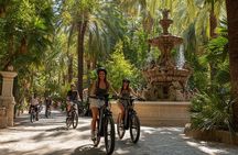 Malaga 2 Hours E-Bike Tour with Gibralfaro Forest