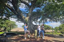 Jeju Island SouthWest UNESCO Day Tour
