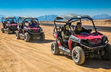 Spider Car Buggy Desert Adventure with Camel Ride from Marsa Alam