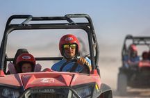 Spider Car Buggy Desert Adventure with Camel Ride from Marsa Alam